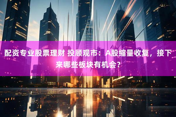 配资专业股票理财 投顾观市：A股缩量收复，接下来哪些板块有机会？