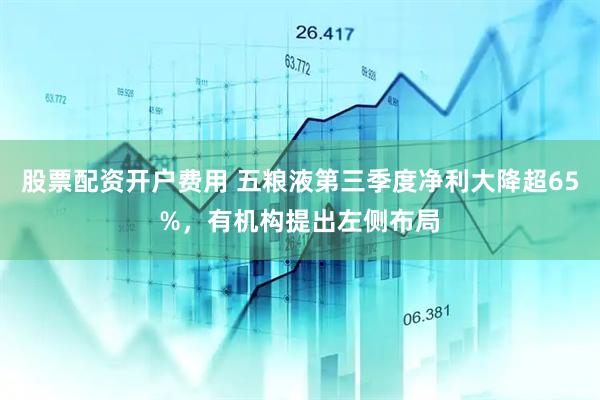 股票配资开户费用 五粮液第三季度净利大降超65%，有机构提出左侧布局